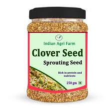 Clover Seed